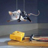 funny_mouse_picture_21 (1)