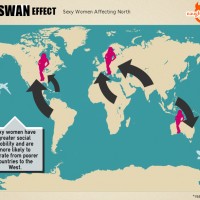 swaneffect (1)